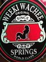 Kids_WeekiWacheeFL (24)